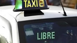 autotaxialmeria